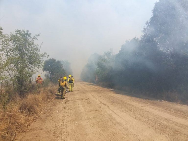 Bomberos luchan contra el fuego en Las Albahacas (fotos del usuario de Twitter 
@RamiiGigena)