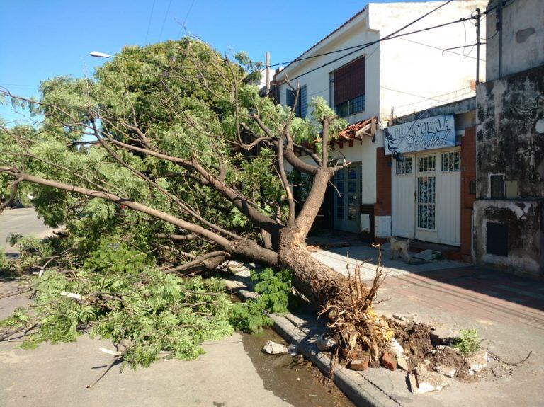 Ecos del temporal.