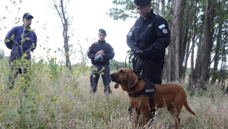 Habían activado en Roca la búsqueda con perros (web).