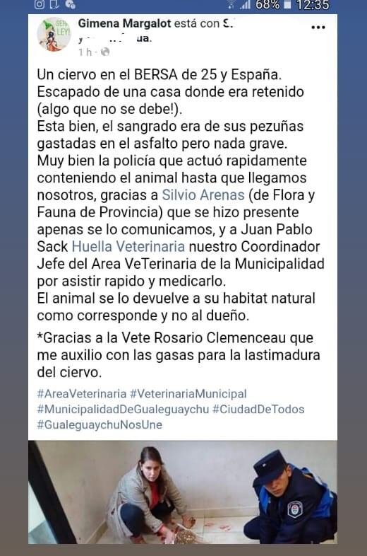 Ciervo en Gualeguaychú
Crédito Facebook Gimena Margalot