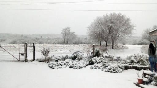 El norte cordobés en San Pedro y Tulumba se vio sorprendido por una intensa nevada este jueves.