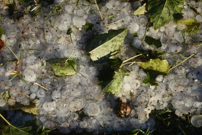 Tormenta de piedra en Mendoza.