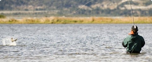 Pesca con mosca o flycast