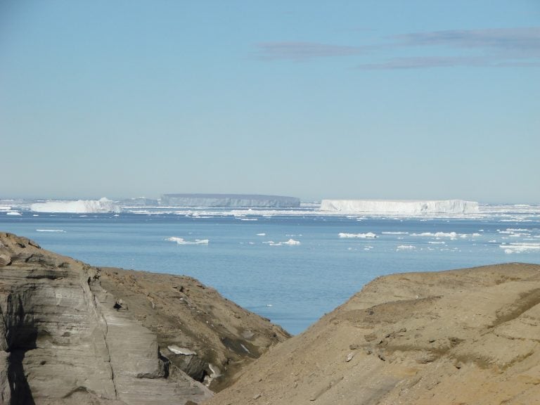 Descubren en la Antártida restos fósiles de un pingüino gigante que usaba su pico como un arpón para cazar.