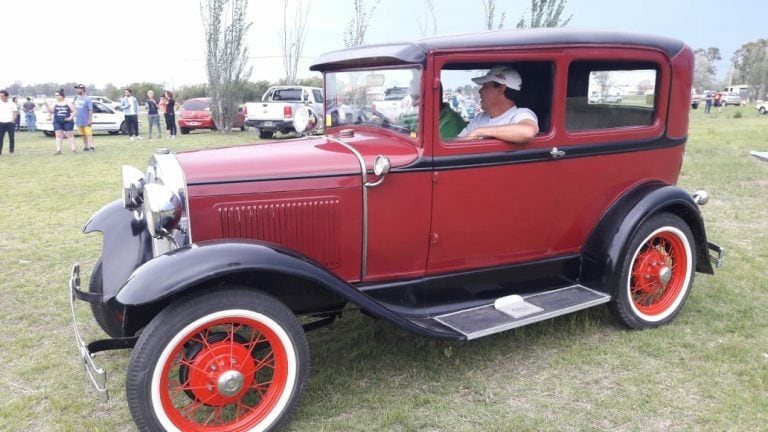 El sábado irán hasta Parque Luro para el avistaje de ciervos en brama (Club de Autos Antiguos)