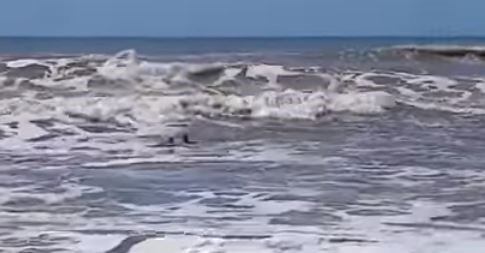 Dos nenas fueron dramáticamente rescatadas en Mar del Sud.