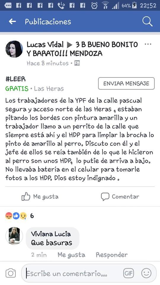 Pintaron a un perro en una estación de servicios de Las Heras