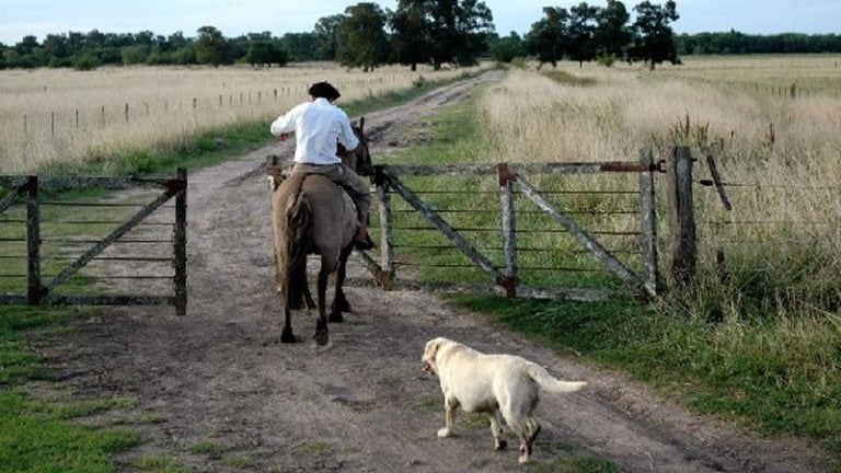 "El campo no para", manifestó Ayala. (web).