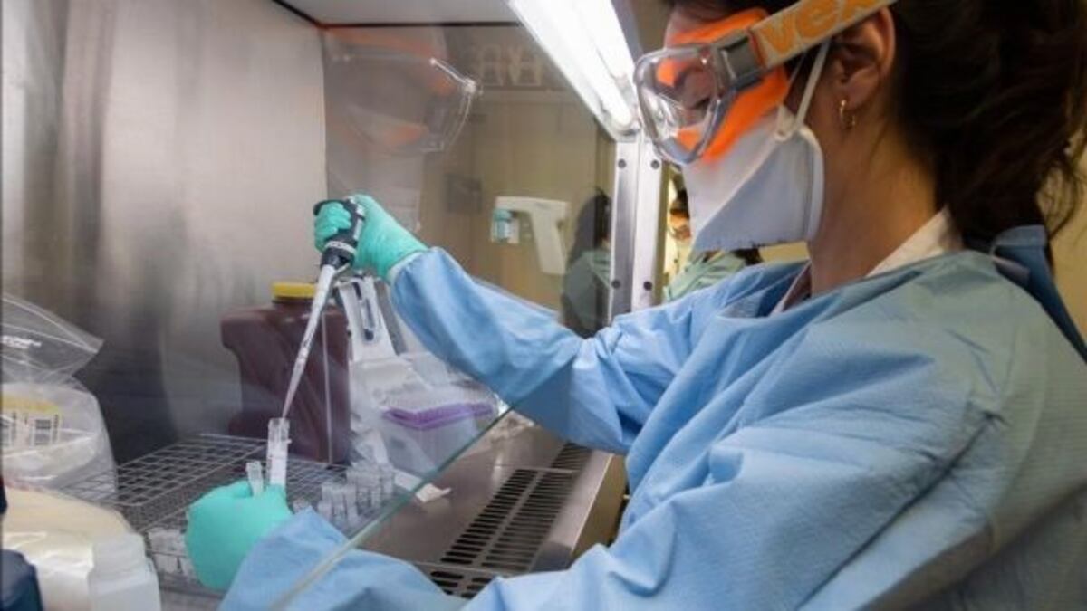 Coronavirus en Catamarca: ocho muertos y 592 casos este viernes
