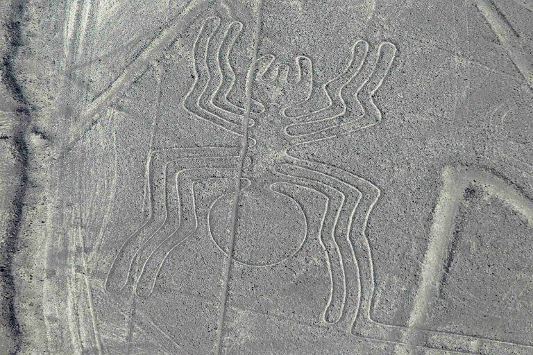 Líneas de Nazca