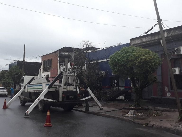 Un árbol se desplomó sobre un local en la calle España y avenida Siria.