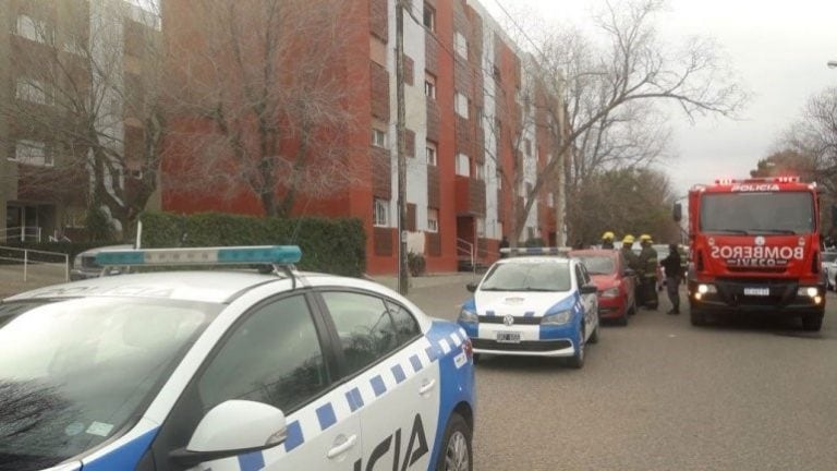 Encontraron a un joven y a su perro muertos por inhalar monóxido de carbono.