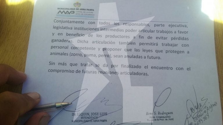 Jujuy: una jauría de perros mató 200 llamas y los criadores quieren venganza.