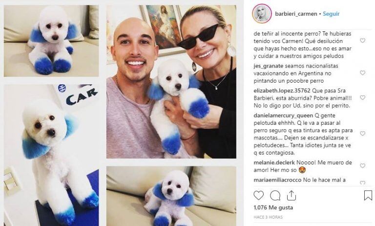 Culpan a Carmen Barbieri de haber ejercido violencia animal con su mascota