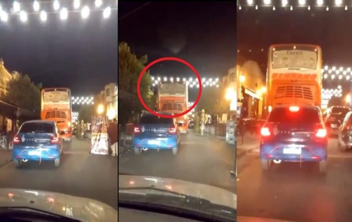 Un colectivo arrancó parte de la luminaria del Paseo Balcarce