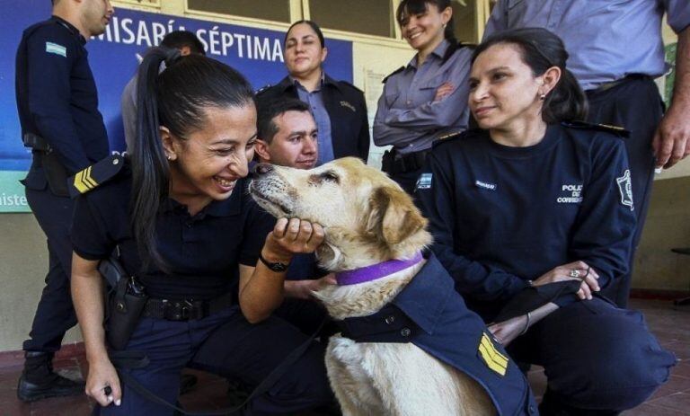 El perro Cartucho tendrá su monumento en la comisaría séptima.