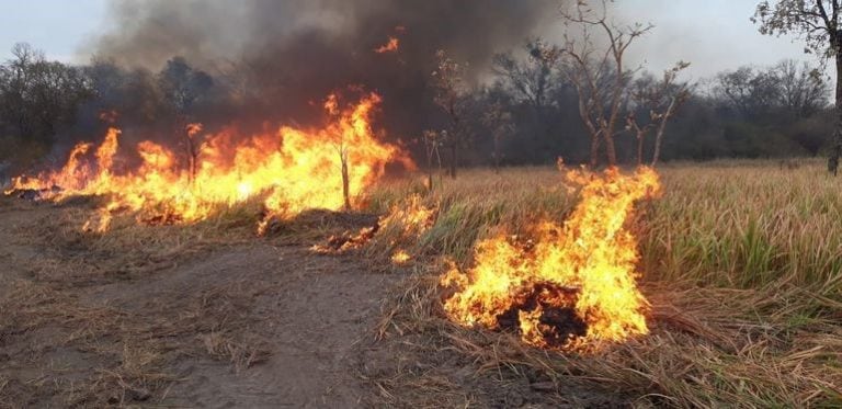 Incendios en Chaco