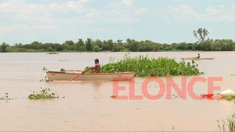 Tras el temporal, los camalotes invadieron el balneario municipal de Paraná. Fotos: El once