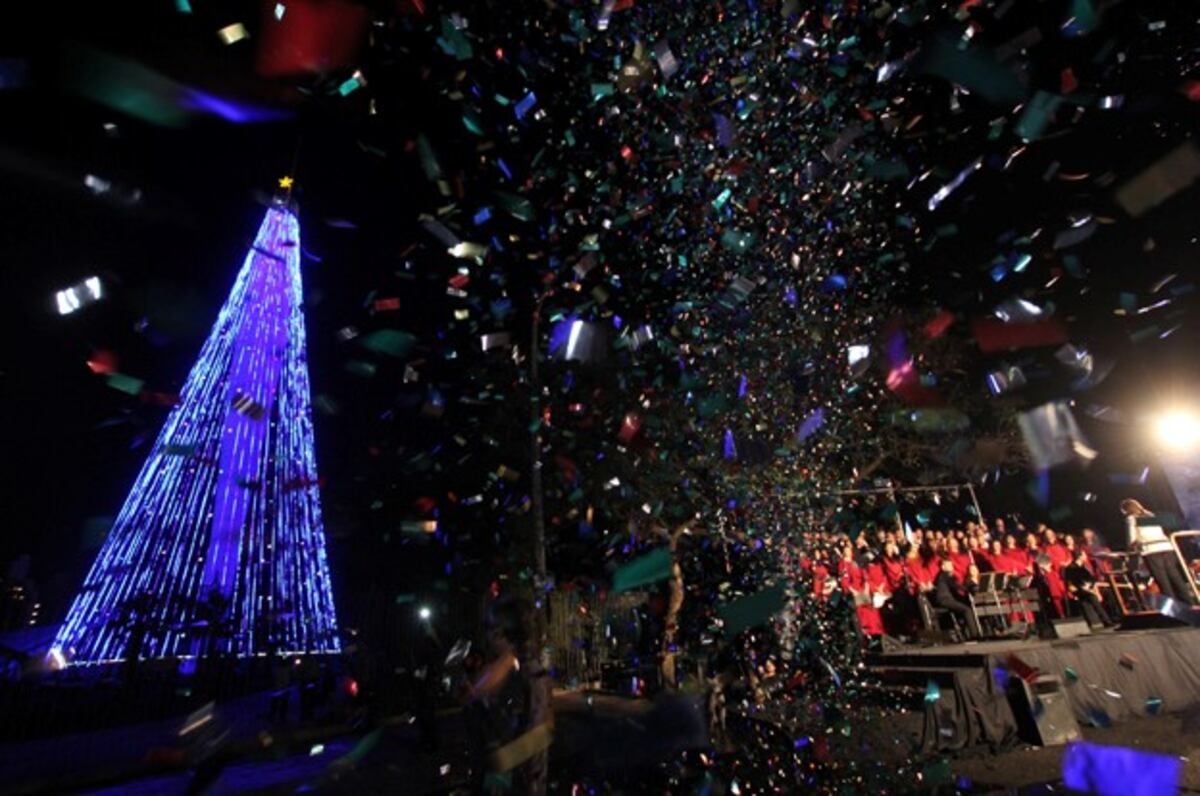 Este viernes encienden en Córdoba el Árbol de Navidad más grande del país