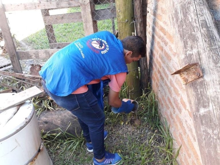 La Dirección de Epidemiología de la Provincia sacó buena parte de su personal a la calle para realizar actividades de eliminación de criaderos de mosquitos.