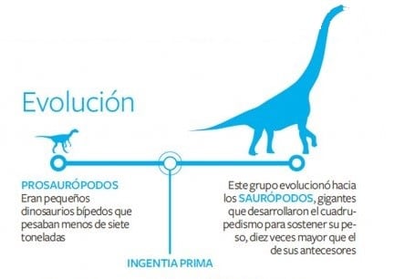 Evolución