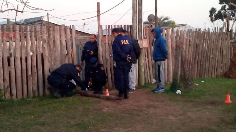 Asesinó a palazos a su mamá, dejó grave a su abuela y atacó a un policía