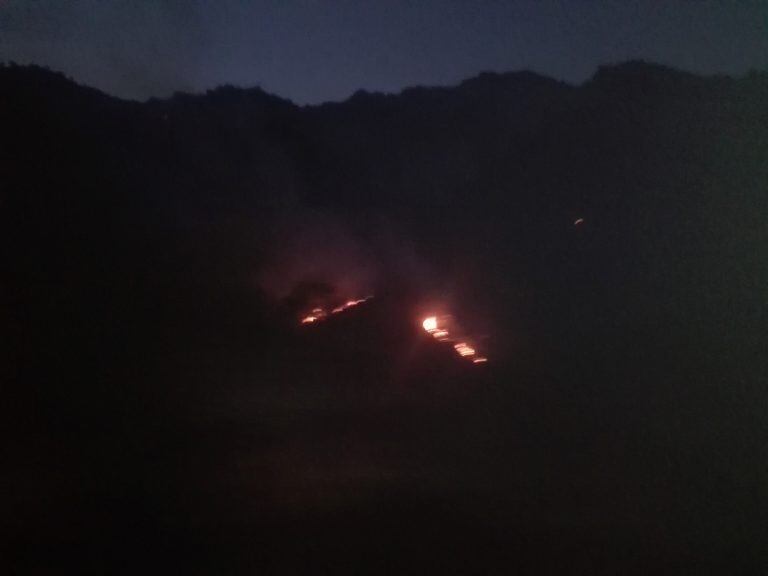 La Calera: las llamas se intensifican con la acción del viento.