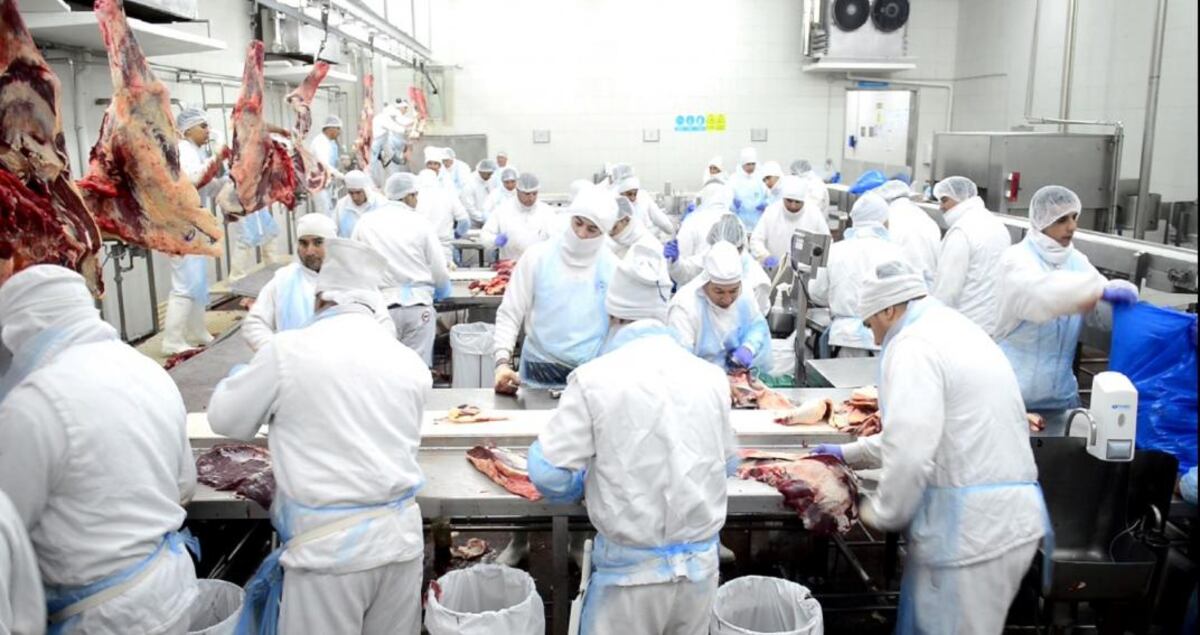 Frigorífico rafaelino invierte U$S4 millones y apuesta a la comida “kosher”