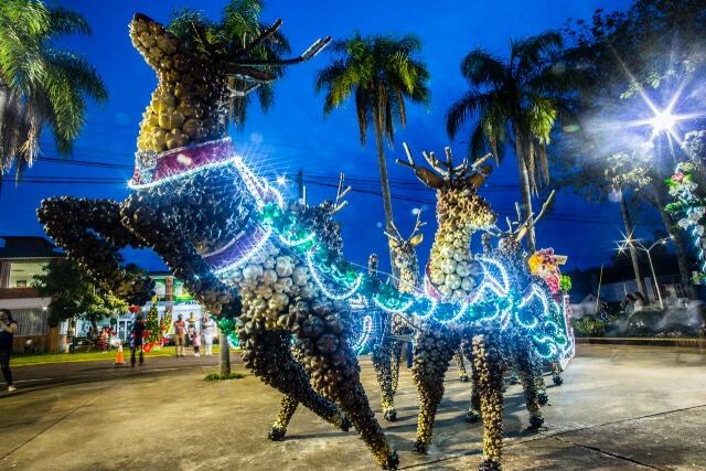 Comenzó la Fiesta de la Navidad con el tradicional encendido de las luces del árbol en Capioví