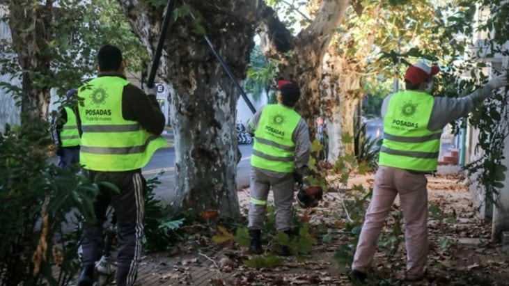 Posadas: iniciarán los operativos de poda en el mes de mayo