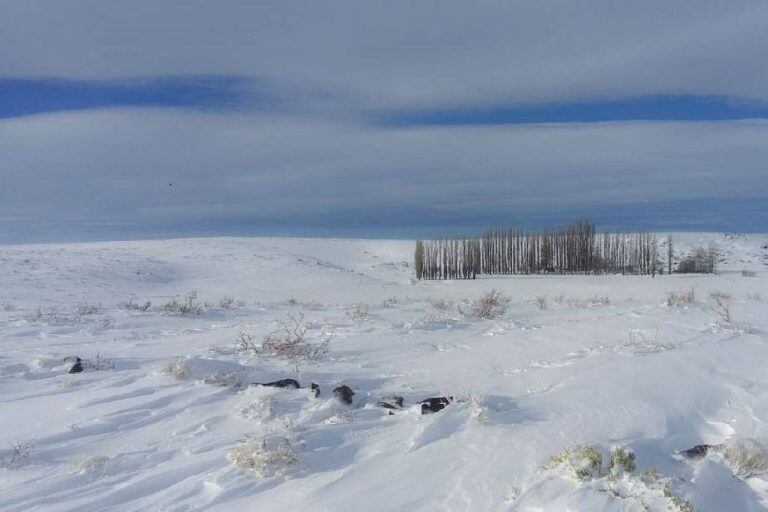 El hombre fue hallado sin vida bajo la nieve (Bariloche2000).