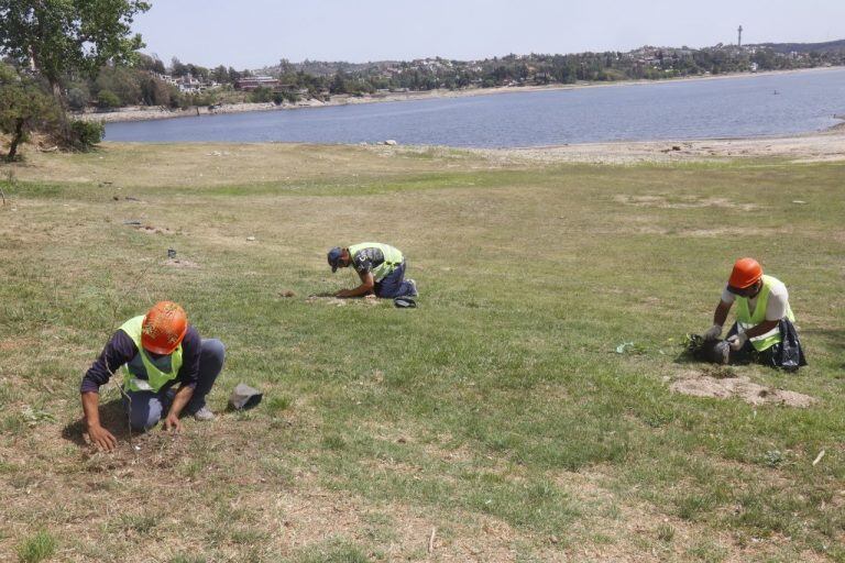 Forestación en la costanera de Carlos Paz.