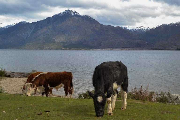 Muestra de gigantografías de la Patagonia.