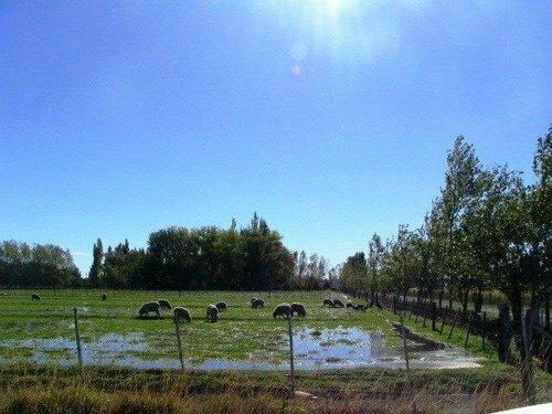 Chacra de Trelew. Ilustrativa.