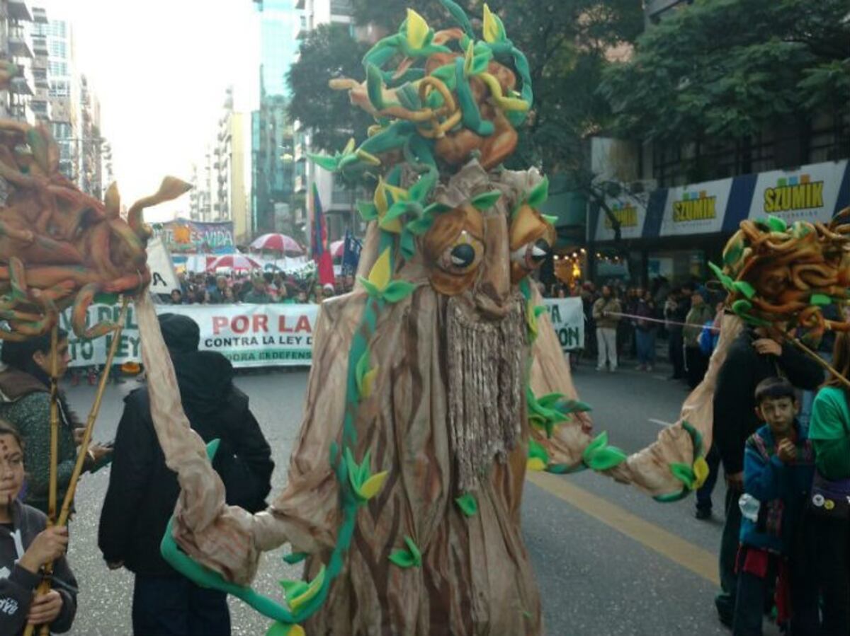 Multitudinaria marcha a favor del Bosque Nativo