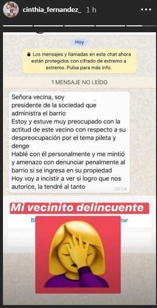 El chat del administrador del barrio con Cinthia Fernández. (Instagram)