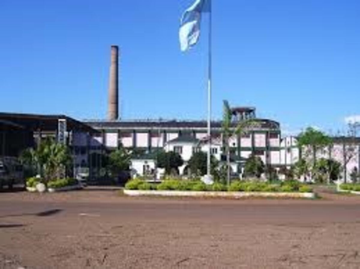 Garantizan el abastecimiento de alcohol en sus distintas presentaciones en Misiones