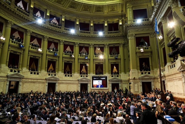 El objetivo es que se cree una ley en el Congreso (Foto: REUTERS/Agustin Marcarian)