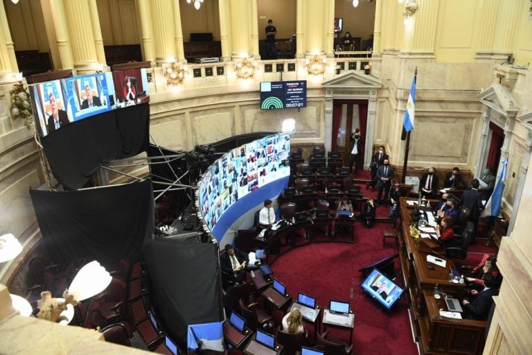 (Fotos: Prensa Senado)