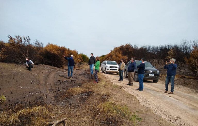 Donación para el Vivero de Claromecó