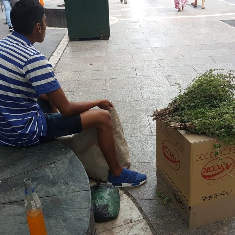 Rodrigo, el vendedor de peperina la peatonal cordobesa.