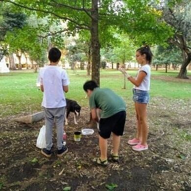 Cami, Mar y Mateo, los chicos azuleños que se volvieron virales por darle de comer a perros callejeros.