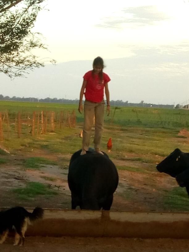 Victoria Rovetto, con 12 años, es amansadora de caballos en General Cabrera, Córdoba, y su técnica es furor en cada encuentro de animales de este tipo en el interior.