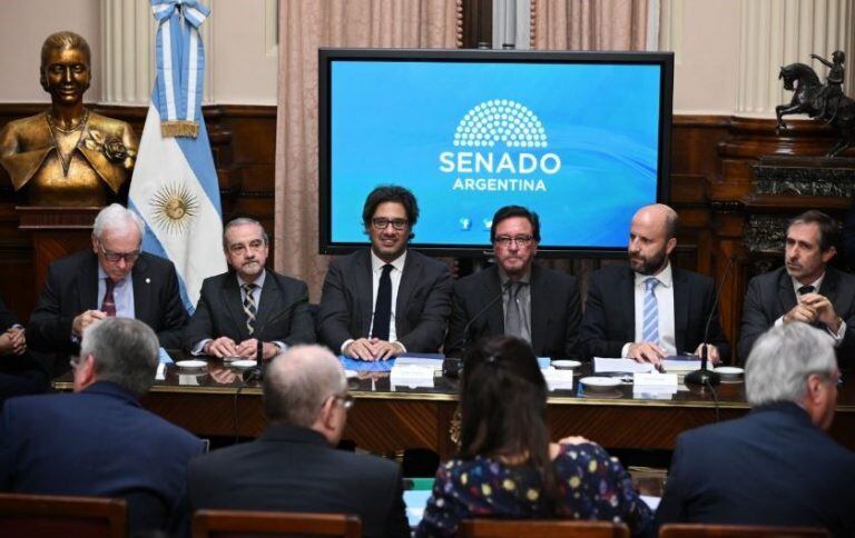 Foto: Prensa Senado.