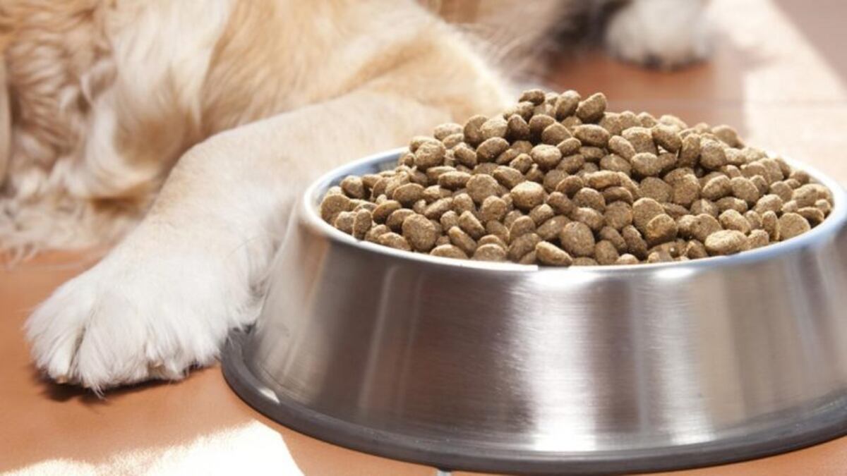 Engañaron a un comercio y se llevaron 400 kilos de comida para perros