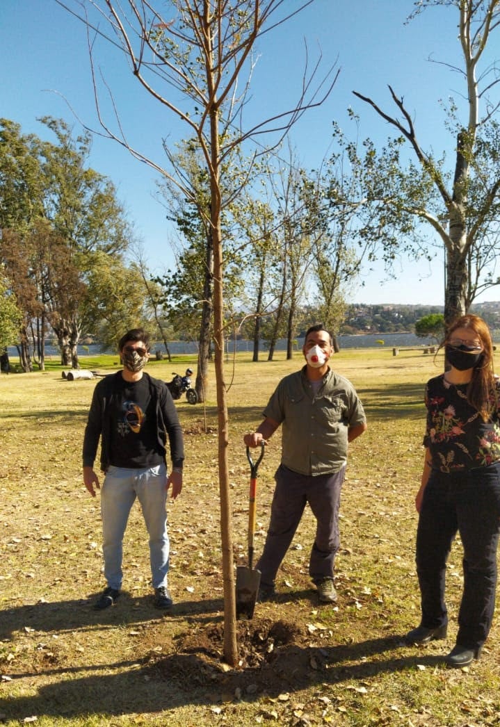 Continúan las plantaciones de árboles nativos en los espacios públicos de la ciudad.