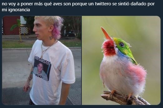 El Polaco uno de los comparados con pájaros (Foto: Twitter)