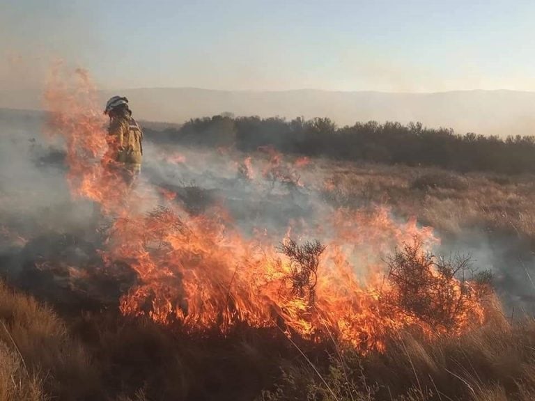 Desde las 15:30 horas, efectivos de diferentes localidades de Punilla trabajan sin descanso. (Foto: Facebook / Bomberos Voluntarios de Cosquín).