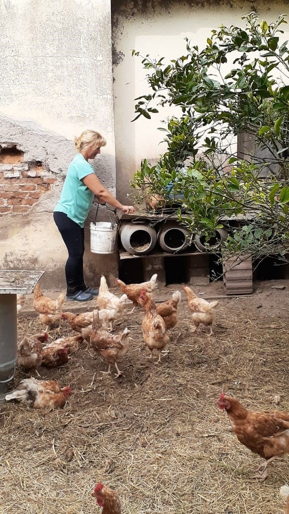 Cuarentena en el campo