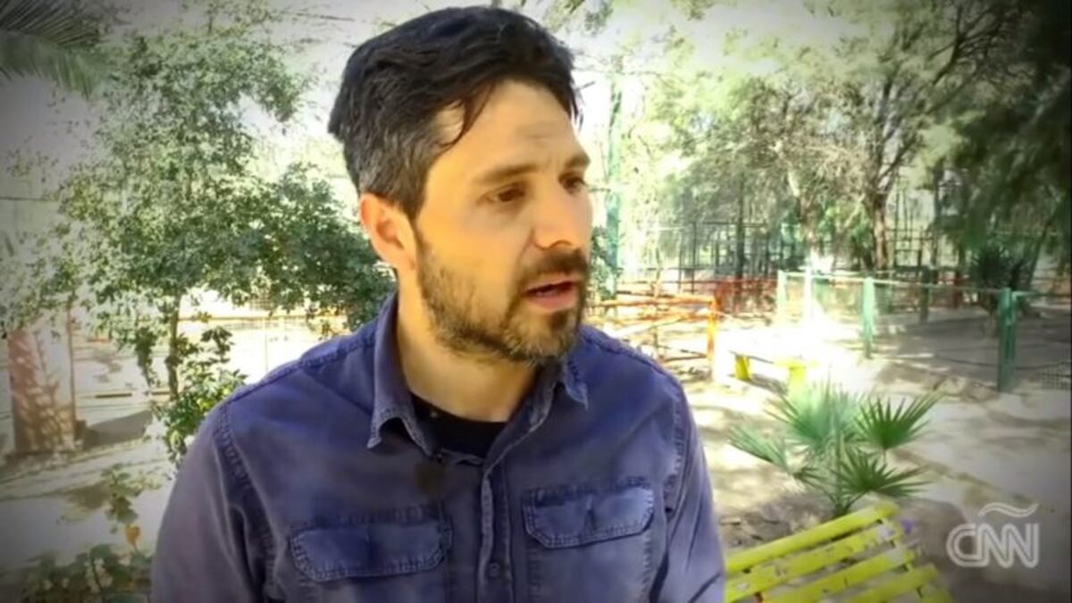 Expectativa por el traslado de felinos a Sudáfrica